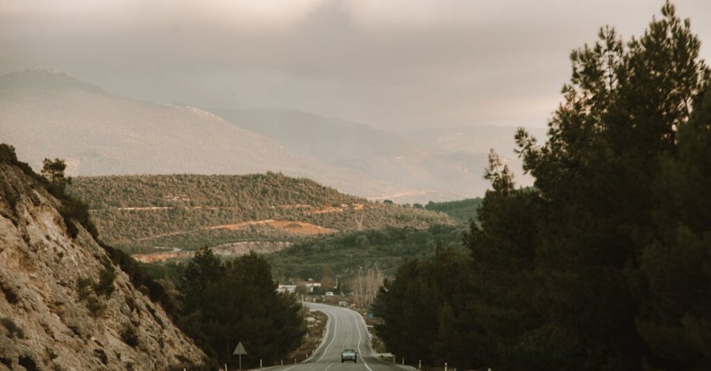 初心者がゴルフの打ちっぱなしで練習を楽しみながらスイング改善に取り組んでいるイメージ